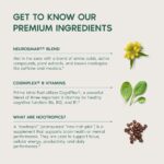 Brain Supplement by Primal Har... - Image 8