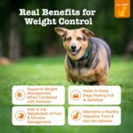 Zesty Paws Weight Management B... - Image 3