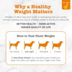 Zesty Paws Weight Management B... - Image 5