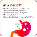 MegaRed Antarctic Krill Oil 50... - Image 6