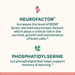 NEURIVA Original Decaffeinated... - Image 5