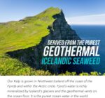 Organic Iodine Supplement from... - Image 6